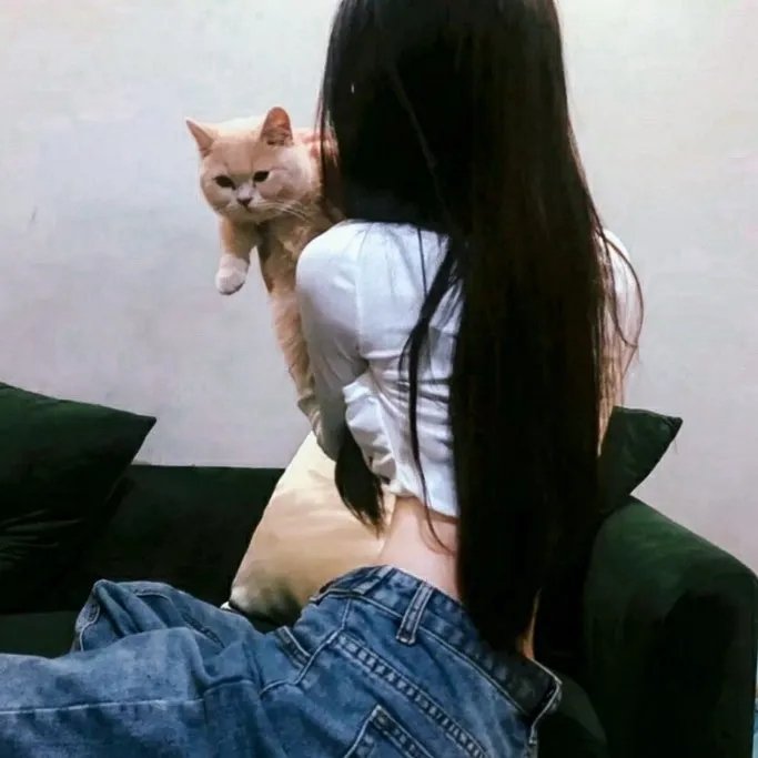 极限挑战第六季